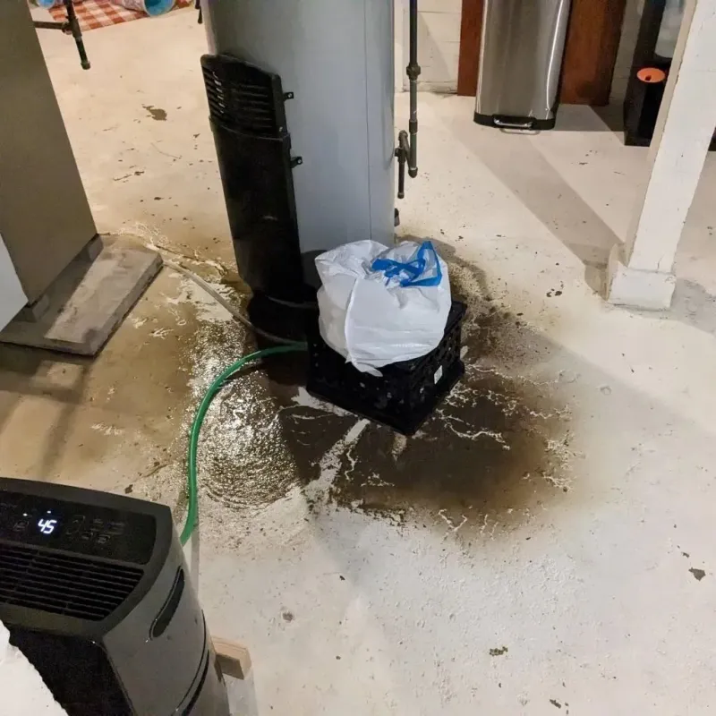 Sewage Backup Cleanup Service in Denali Borough, AK
